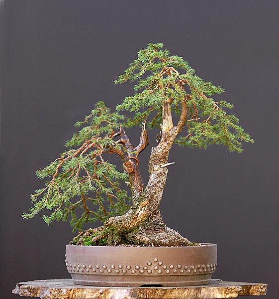 Dsc_5290vr.jpg
