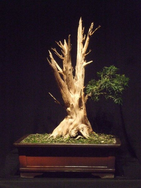 Januar 2012