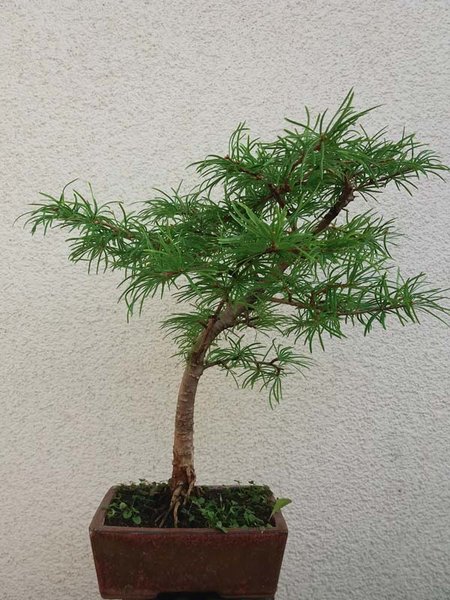 20180920_094115_kl.jpg
