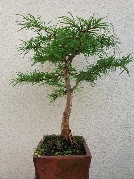 20180920_094226_kl.jpg