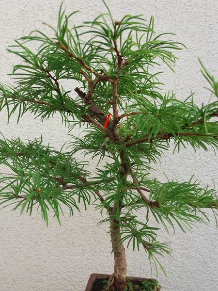 20180920_094256_kl.jpg