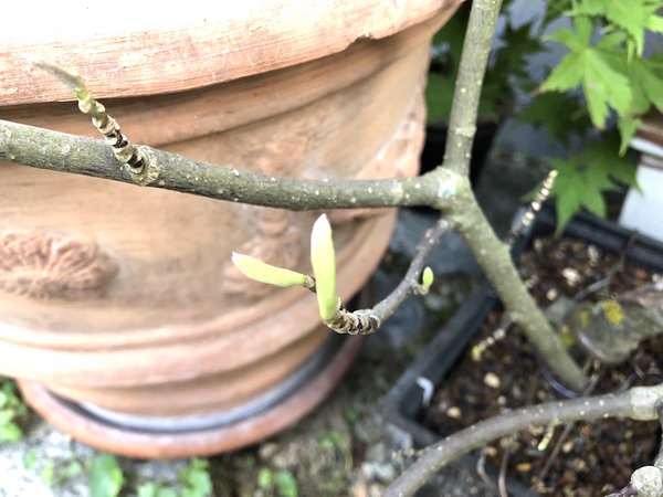 26. Aug 2018