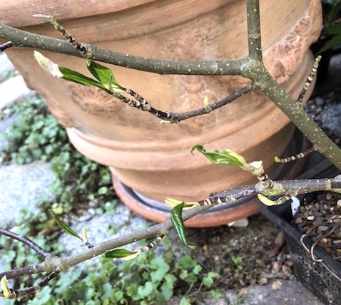 05. Sept 2018