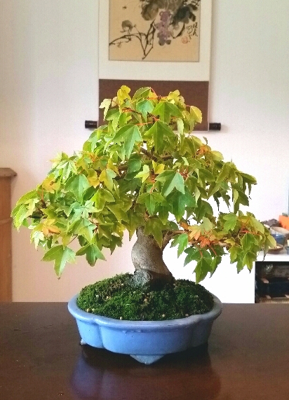 2018-09-23 12.33.21.jpg