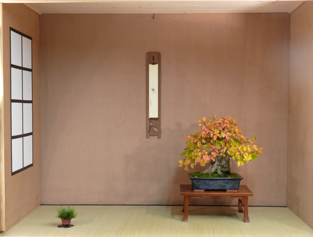 P1230001k.JPG