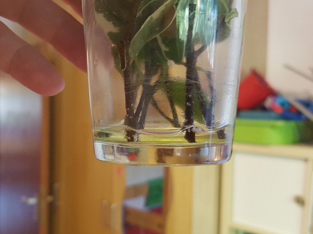 20180927_102933.jpg