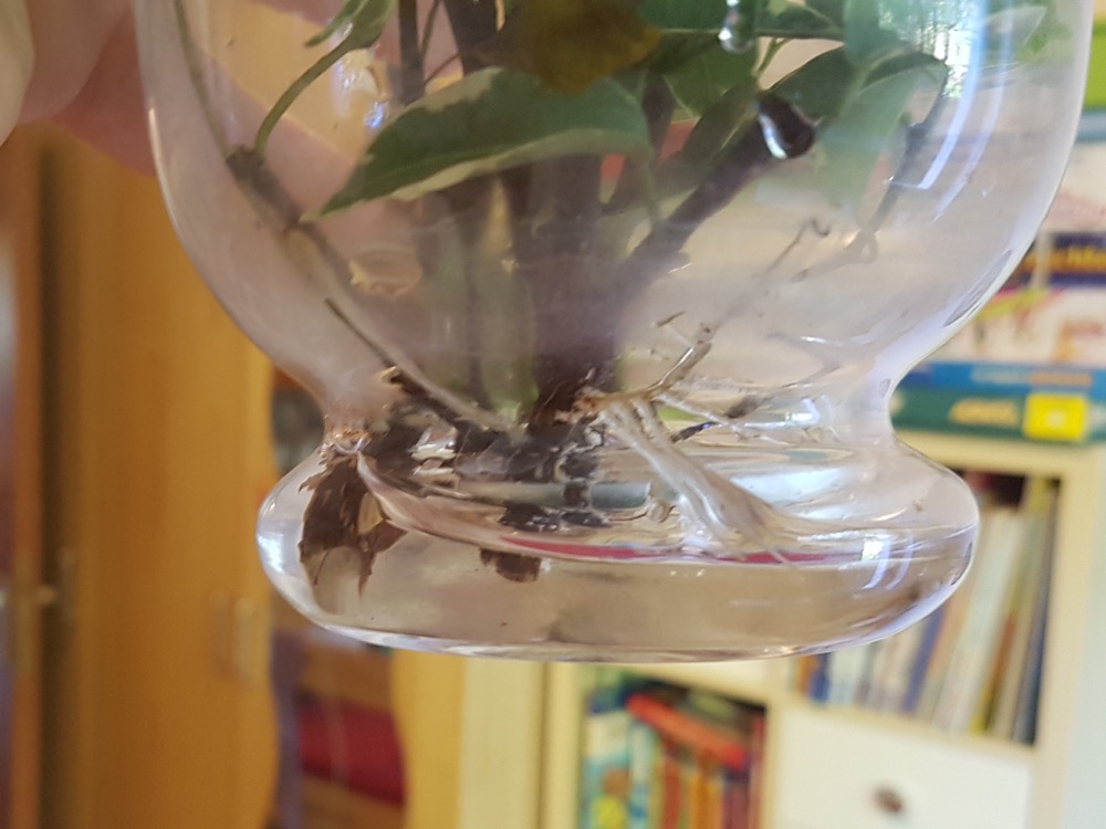 20180927_103019.jpg