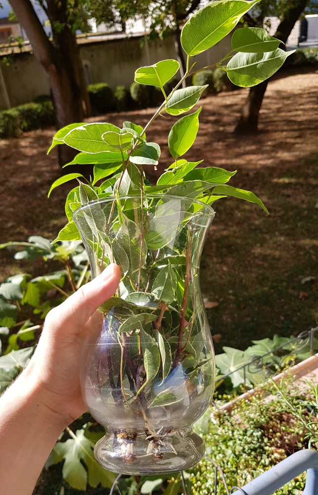 20180930_111543.jpg