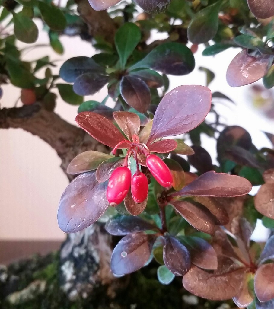 2018-09-30 13.43.35.jpg