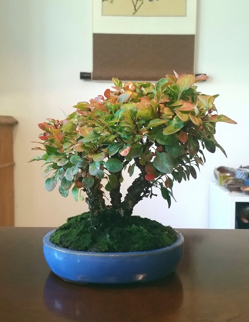 2018-09-30 13.42.07.jpg