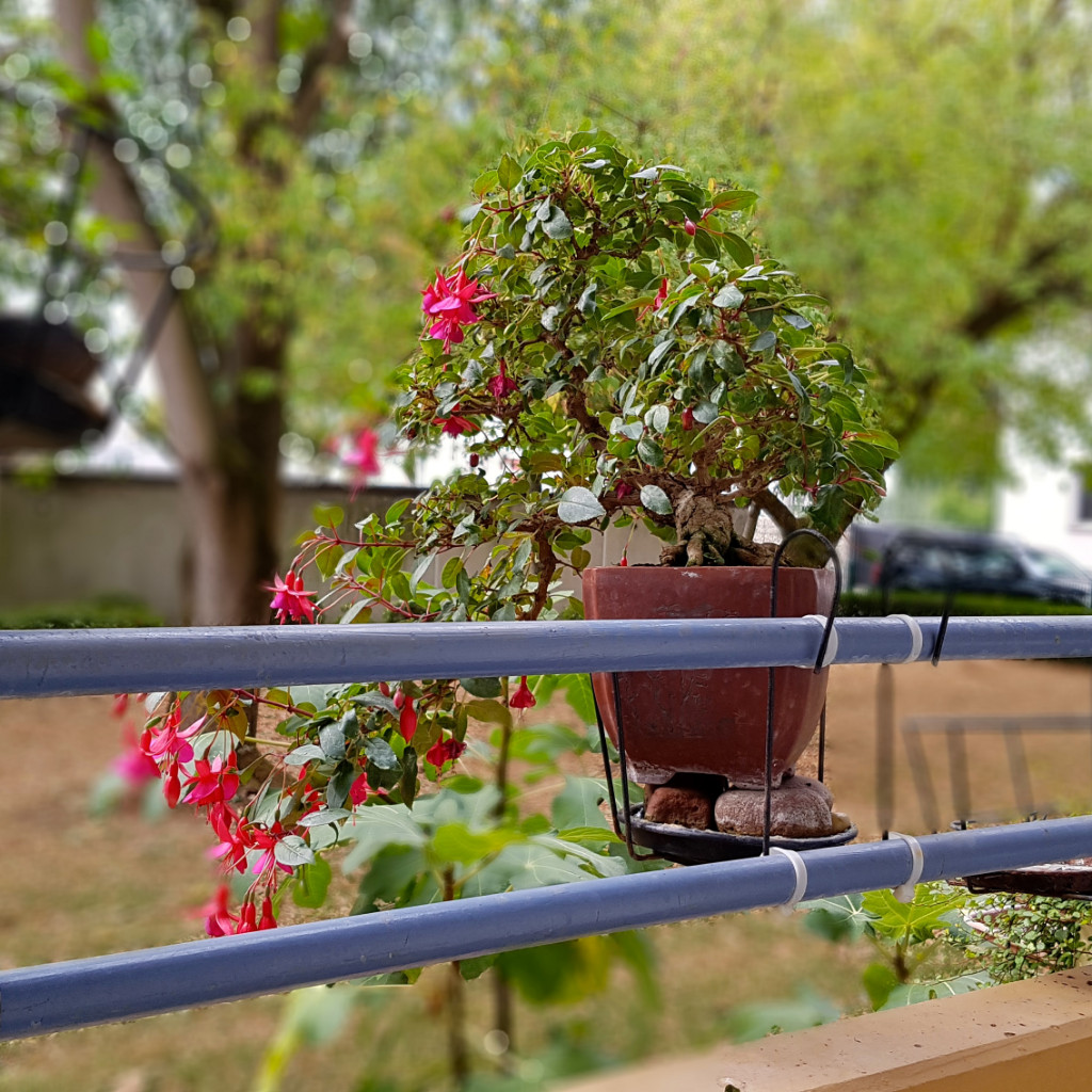 20181001_105315.jpg