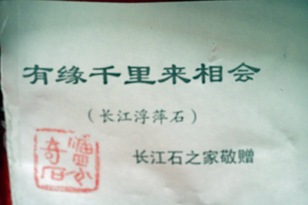 DSC00245_Forum.jpg