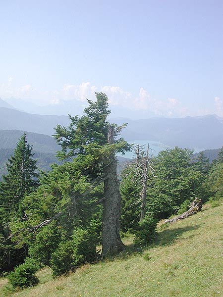 Dscn1087v.jpg