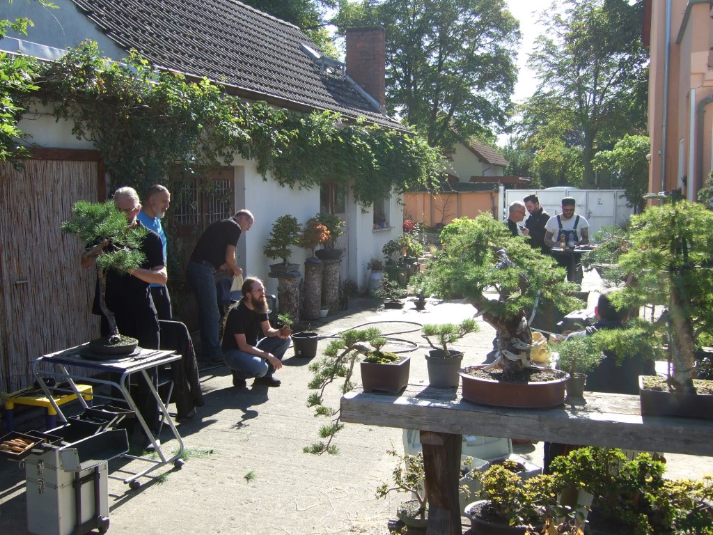 DSCF6680.JPG