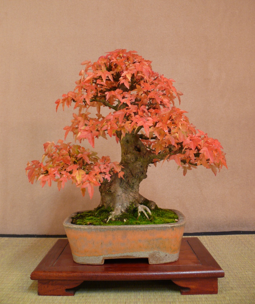 P1230106b.JPG