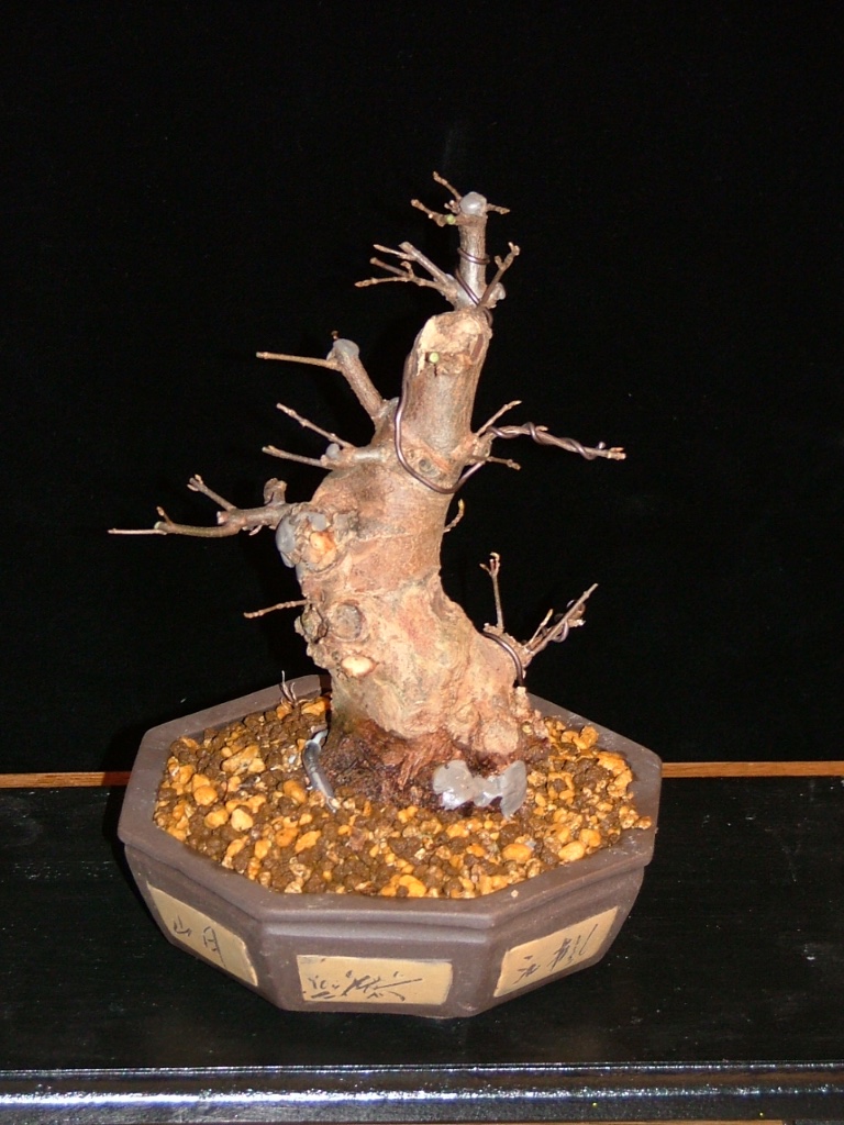 DSCF0528.JPG