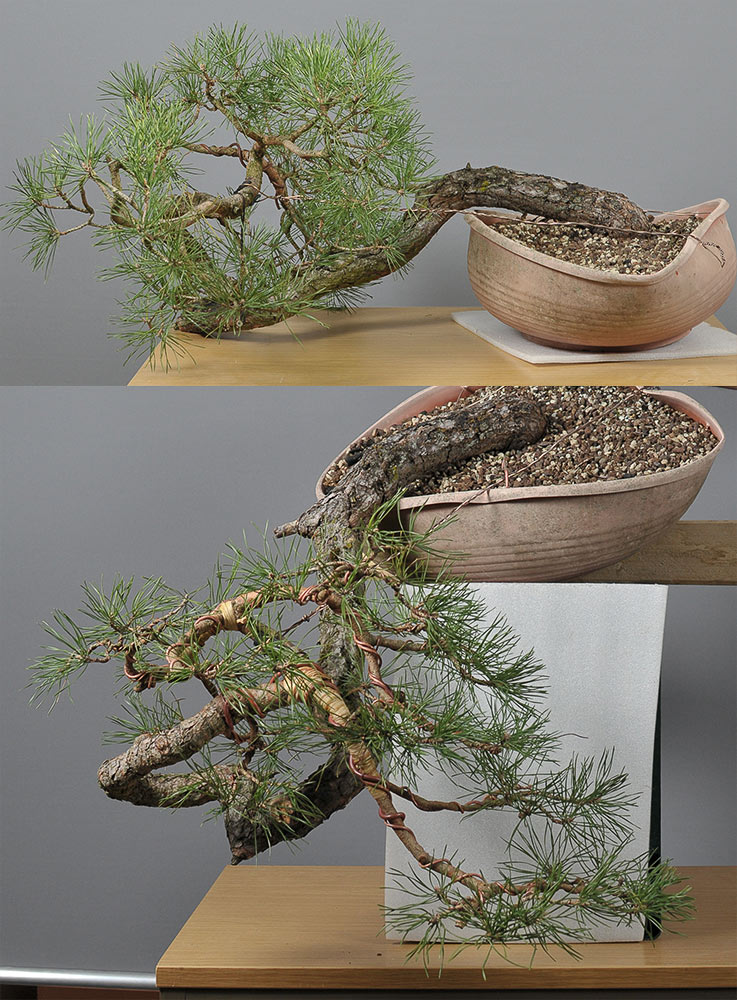 FS3_1464.jpg