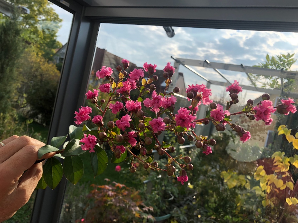 07. Okt 2018
