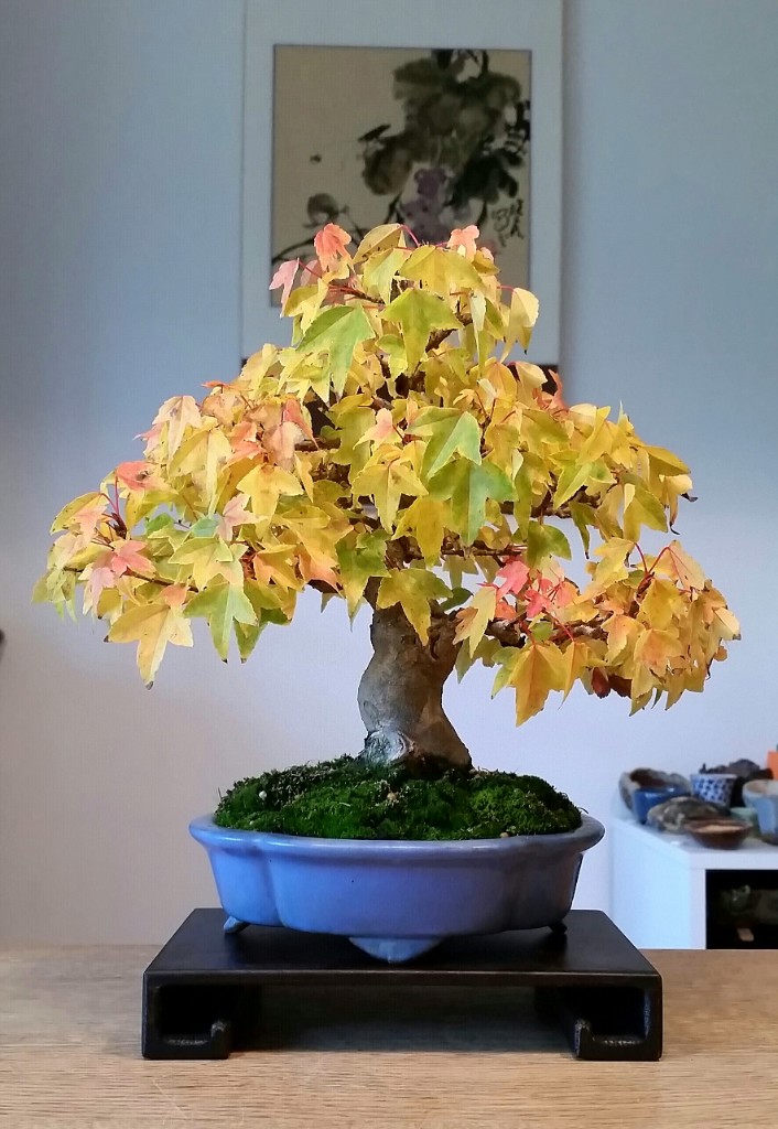 2018-10-07 15.50.14.jpg