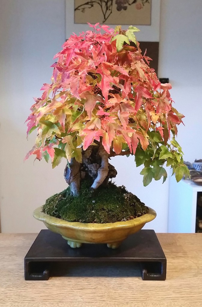 2018-10-09 18.03.02.jpg
