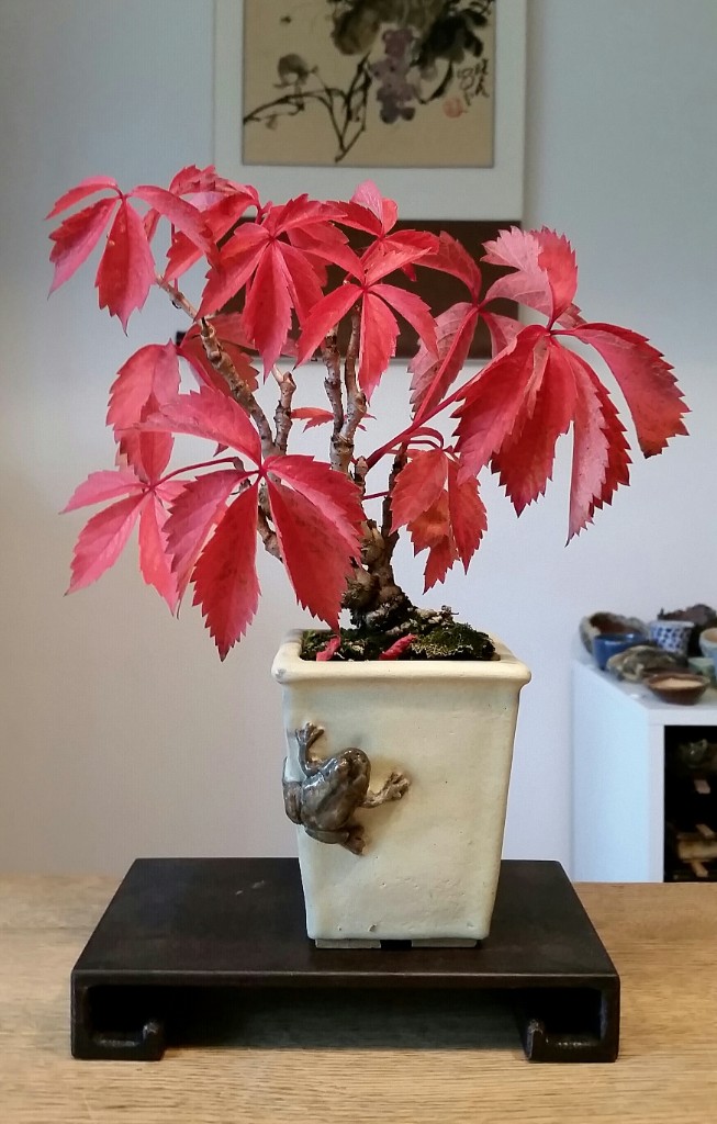 2018-10-07 15.53.48.jpg