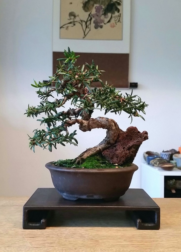 2018-10-07 15.48.42.jpg