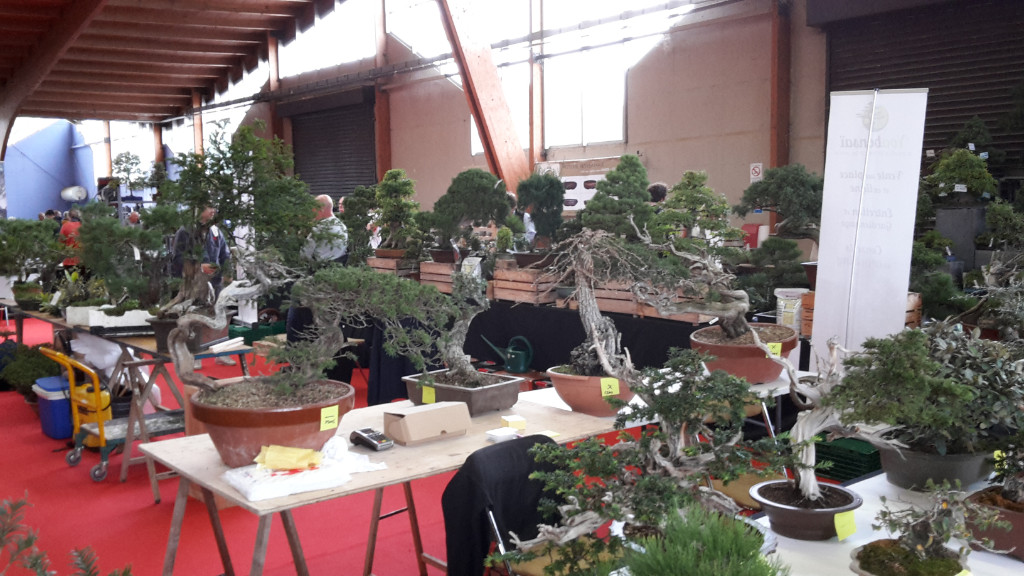 20181007_114628.jpg