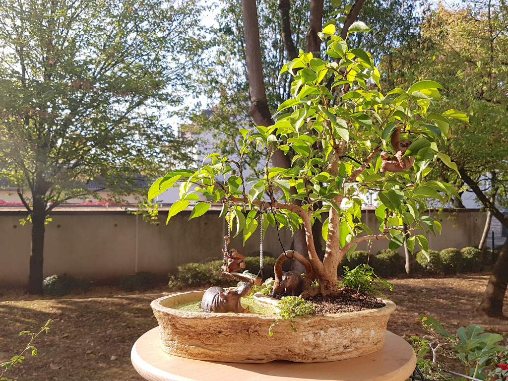 20181011_104255.jpg