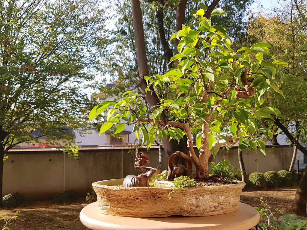 20181011_104301.jpg