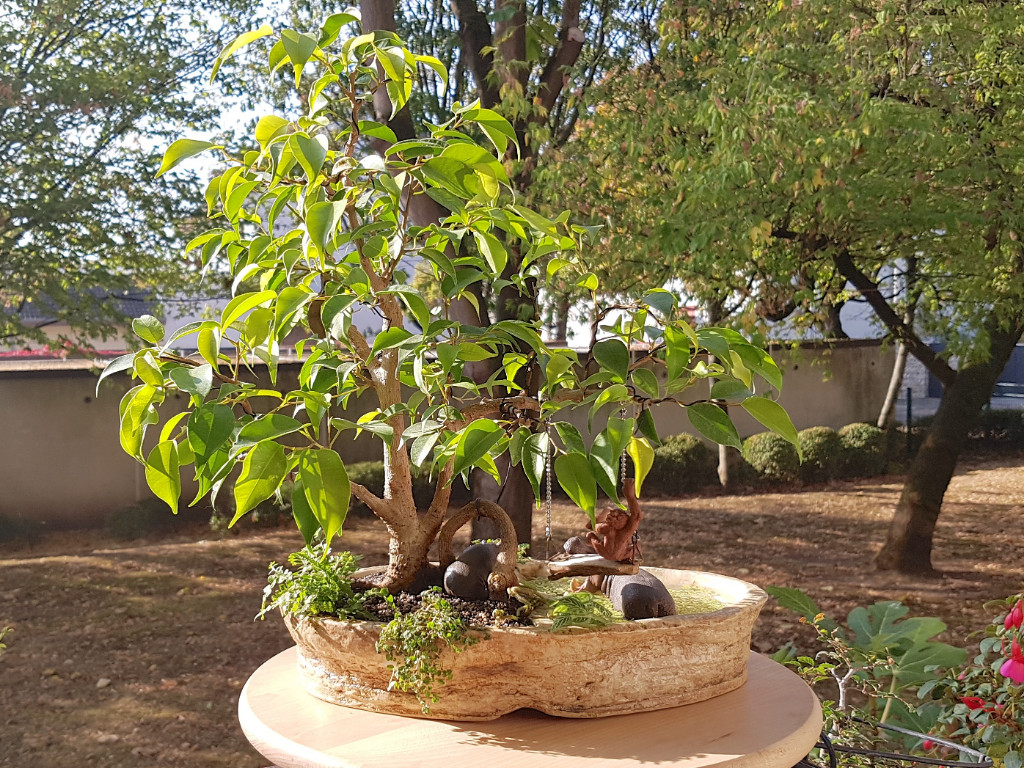 20181011_104428.jpg