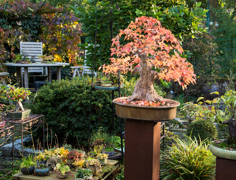 herbst_0239.jpg