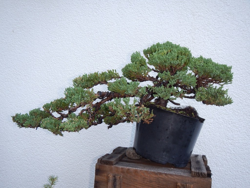 DSCN5505.jpg