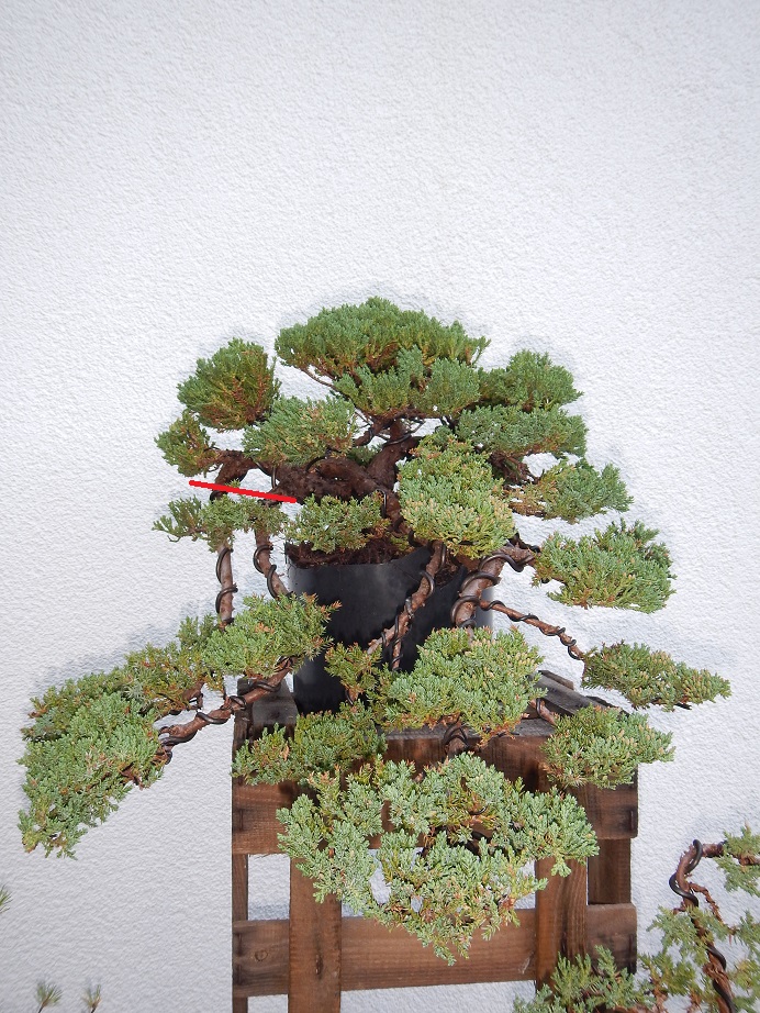 DSCN5508.jpg