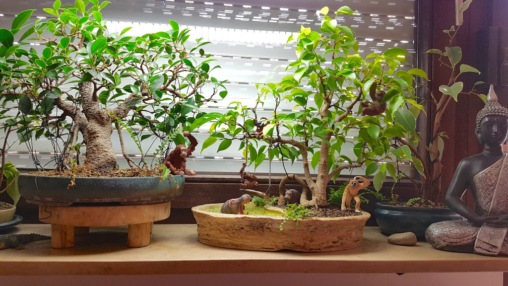 20181013_140644.jpg