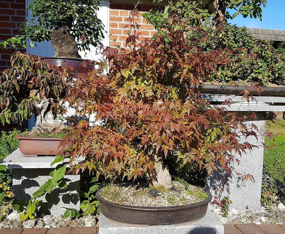 20181013_133042.jpg