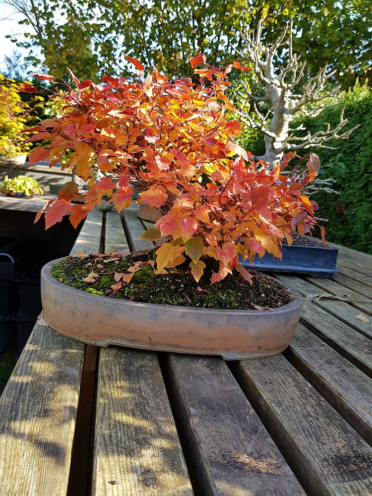 20181013_133147.jpg