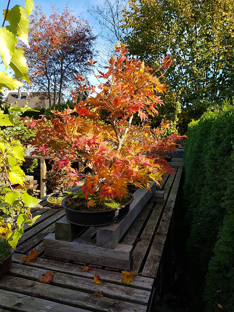 20181013_133322.jpg