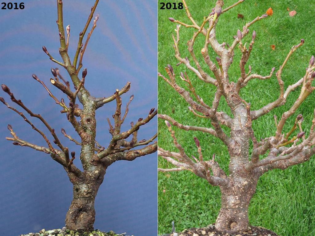 2016-2018-schnittstellen-hinten_.jpg