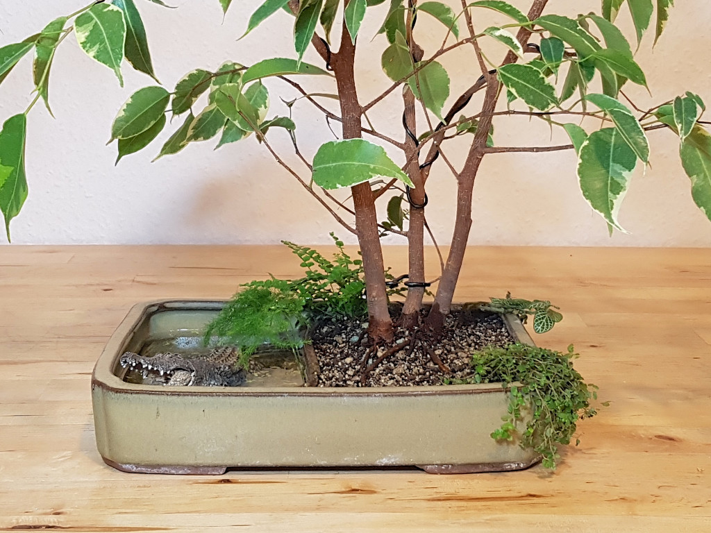 20181017_103241.jpg