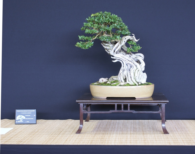 2011-10-08 Saulieu, Buxus sempervirens II, Francois Gau, Yixing.JPG