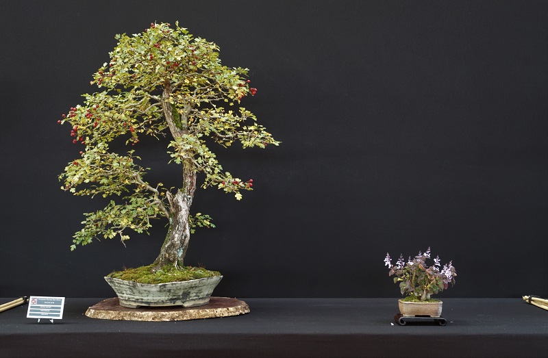 Eigentlich unspektakuläres Material, doch schön gegliedert und ausgearbeitet. Absurd: Ohne den Negativ-Raum links würde was fehlen ... Interessante Schale. Flacher Tisch anstelle der Platte würde mir mehr zusagen.