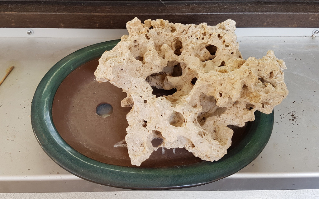 20181020_113724.jpg