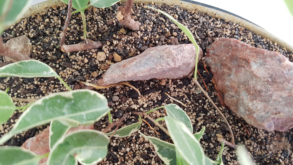 20181021_140940.jpg