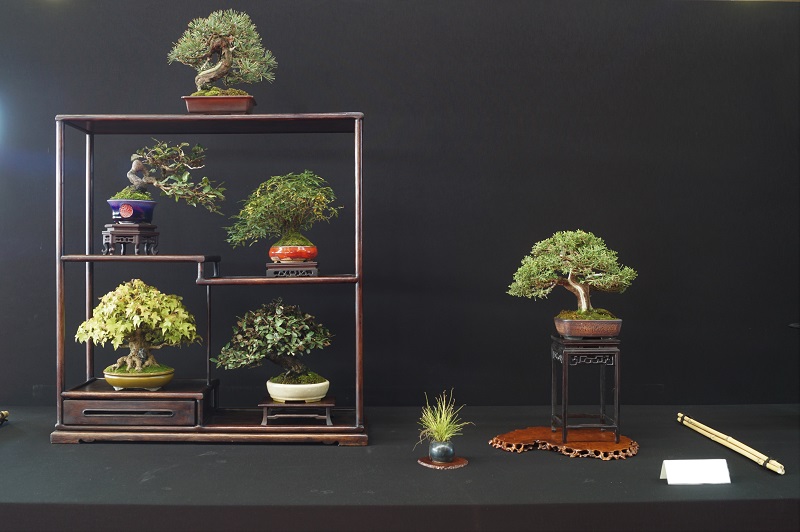 2018-10-06 Saulieu, Shohin Display IV, Luigi Maggioni.JPG