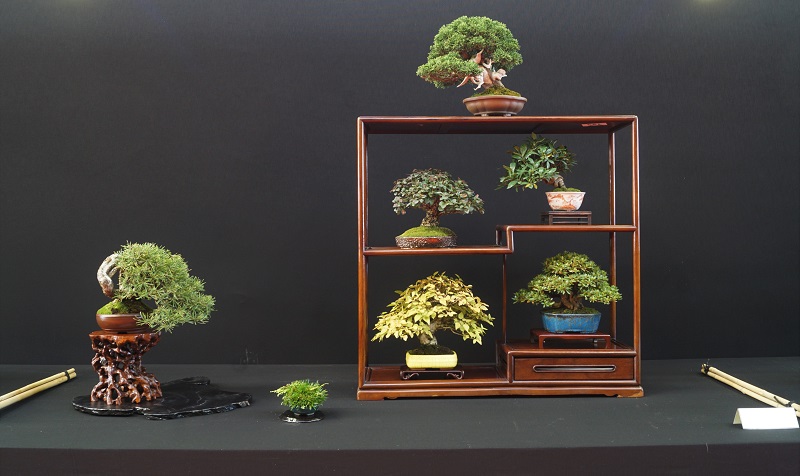 2018-10-06 Saulieu, Shohin Display VII, Luigi Maggioni.JPG