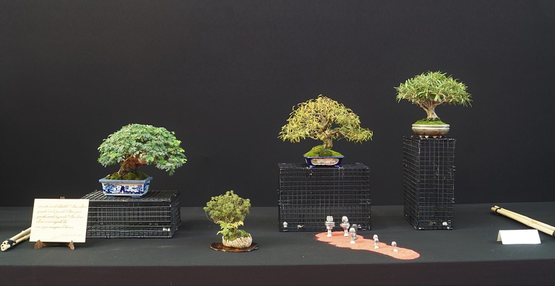 2018-10-06 Saulieu, Shohin Display VIII, LUigi Maggioni.JPG