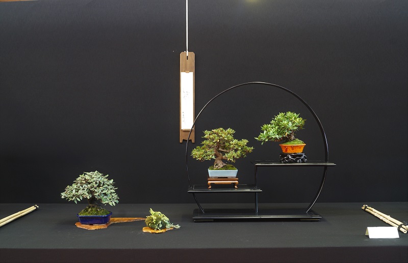 2018-10-06 Saulieu, Shohin Display IX, Luigi Maggioni.JPG