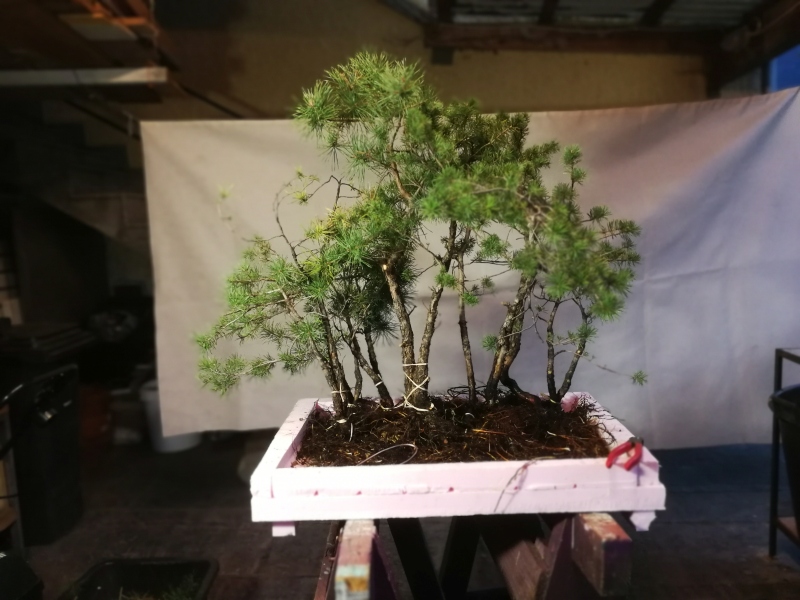 035a 20.09.18.jpg