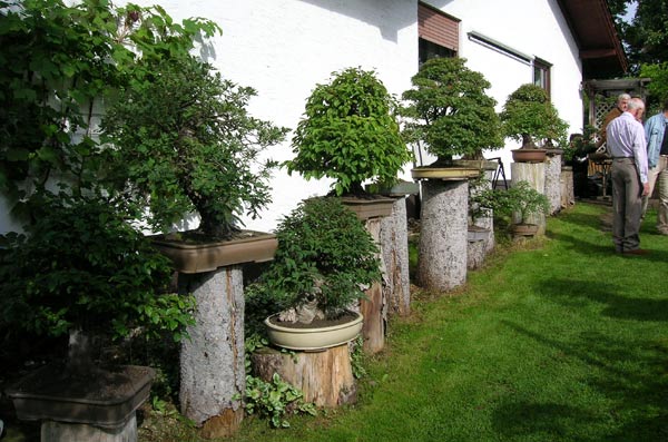 DSCN0925Garten.jpg