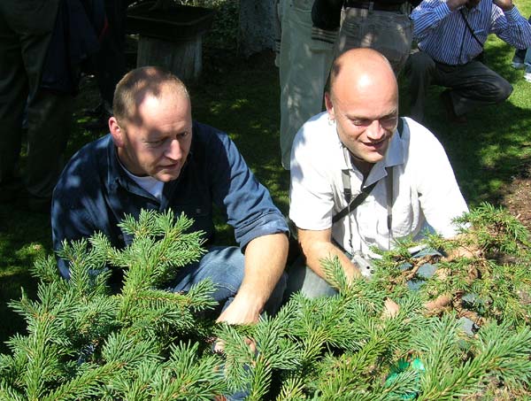 MichaelT und Ulf besprechen eins von Walters Meisterwerken .....  ;o)
